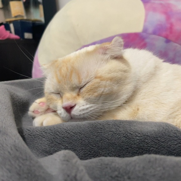 Meet your Posher, John stephen - Picture 1 of 1